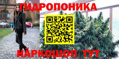 мяу мяу кристалл Кинель