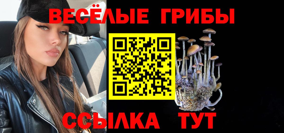 продажа наркотиков  Псилоцибиновые грибы прущие грибы  Вход с VPN  Псилоцибиновые грибы Cubensis  Егорьевск 